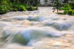 Deschutes River-1388